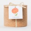 Life-in-a-bag-calendula-organic-grow-cork-DIY