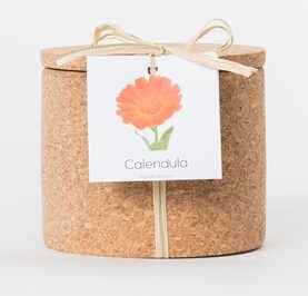 Life-in-a-bag-calendula-organic-grow-cork-DIY